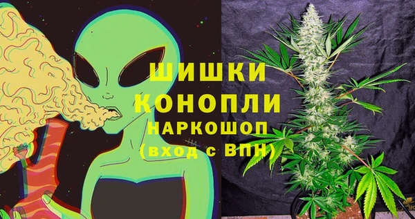 ешки Алексин