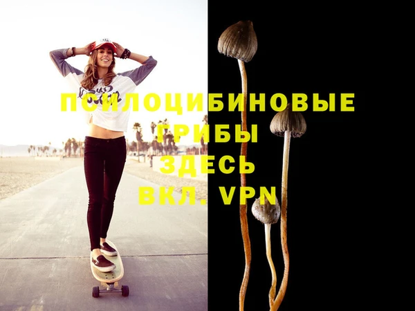 круглые Алексеевка