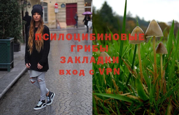 ешки Алексин